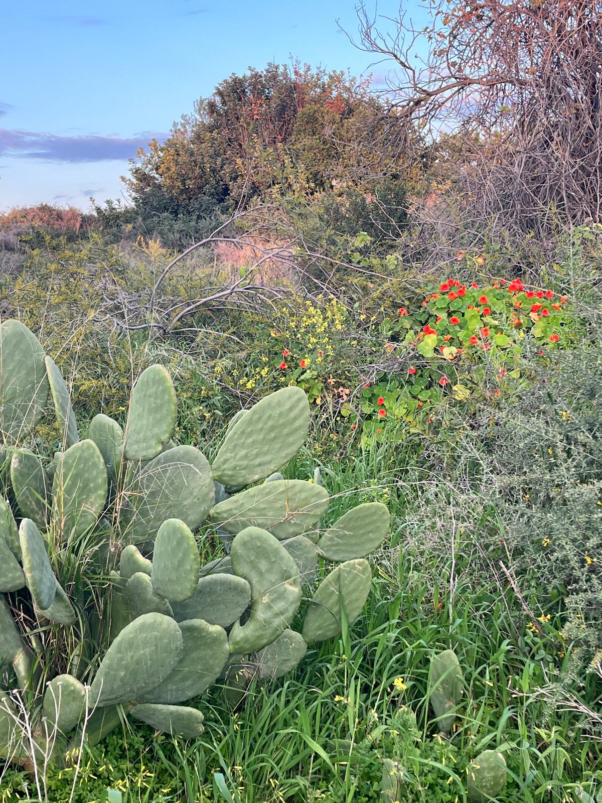 A candid portrait of Dr. Kamila Hortyńska laughing joyfully while sitting in a restaurant. She is wearing a sleeveless white top, a delicate necklace, and beaded earrings, with a soft-focus indoor background.