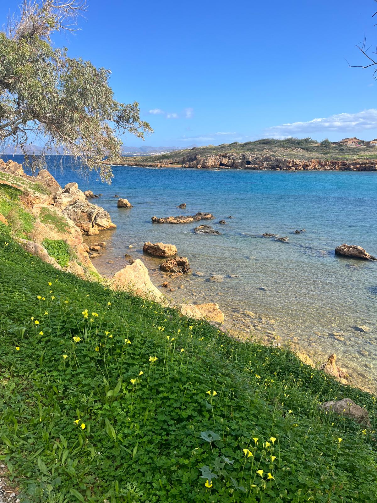 Sunny Mediterranean coastline with clear sea water, rocks, and green vegetation, representing tranquility and mental well-being.