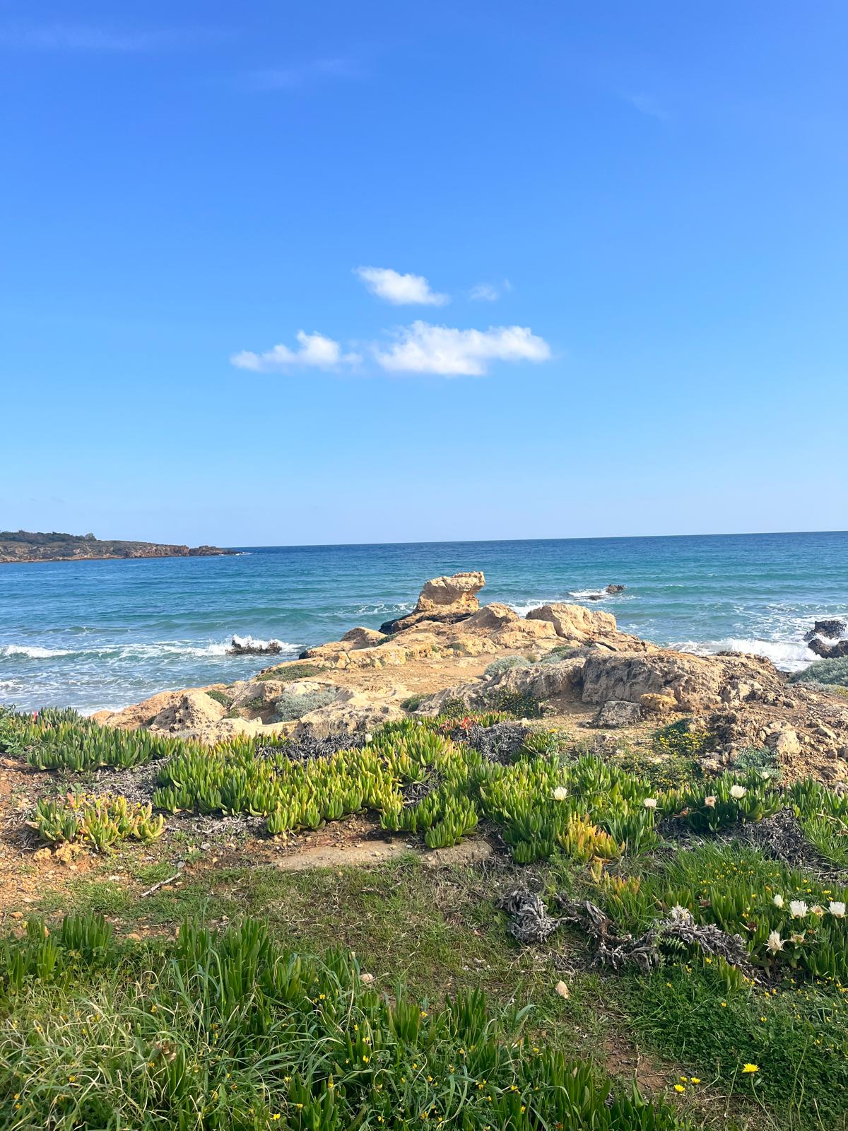 A rocky Mediterranean coastline under a clear blue sky with a few white clouds. Small waves crash against the rocks in the turquoise sea, and the foreground features vibrant green succulent plants.